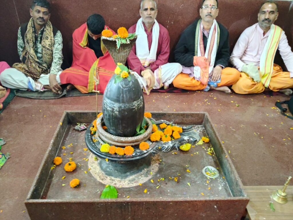 Kaal-Sarp-Dosh-Puja-Trimbakeshwar-Jyotirlinga (2)