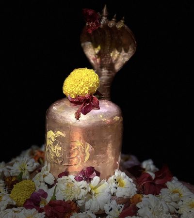 Kaal-Sarp-Dosh-Puja-Trimbakeshwar-Indian-Jyotishi